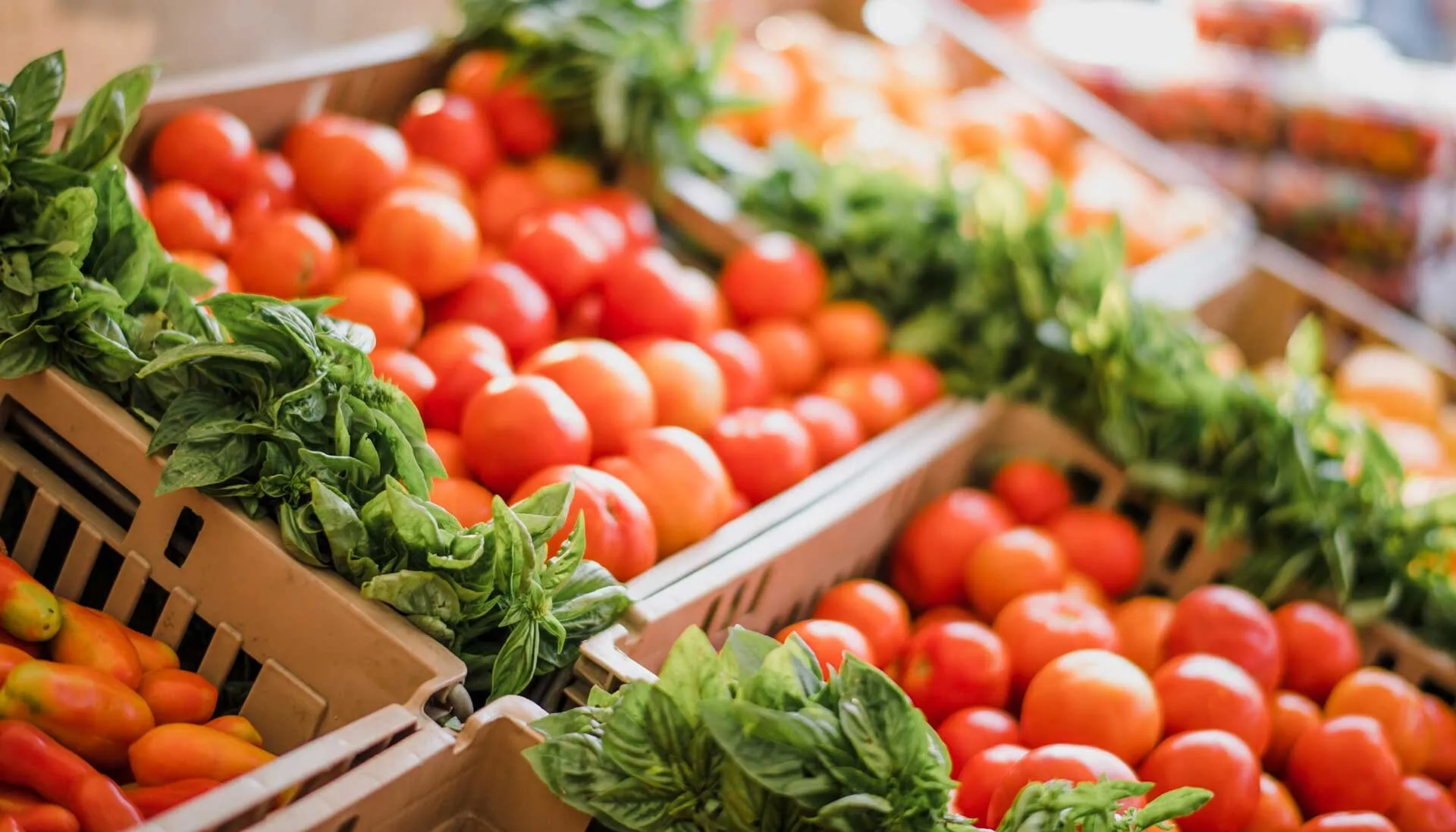 Caisses de tomates mûres et de basilic frais.